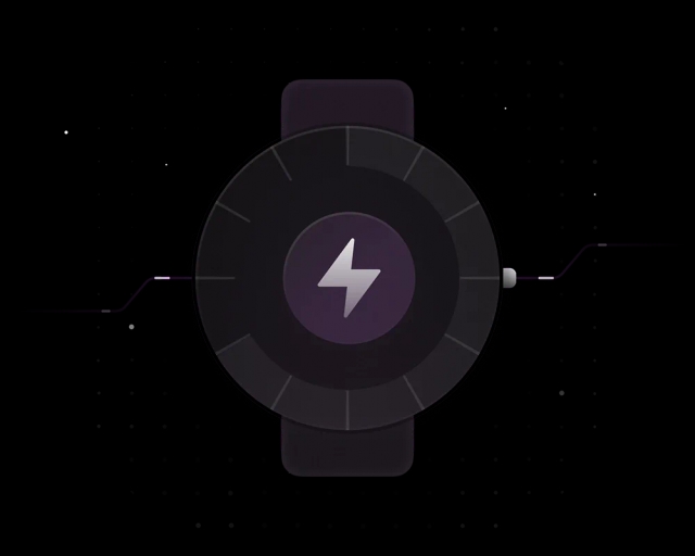 For Auditors and Compliance Officers